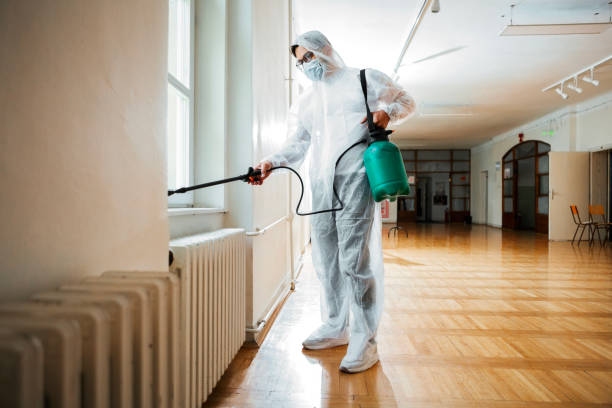 Best Fumigation Services  in Horseheads North, NY